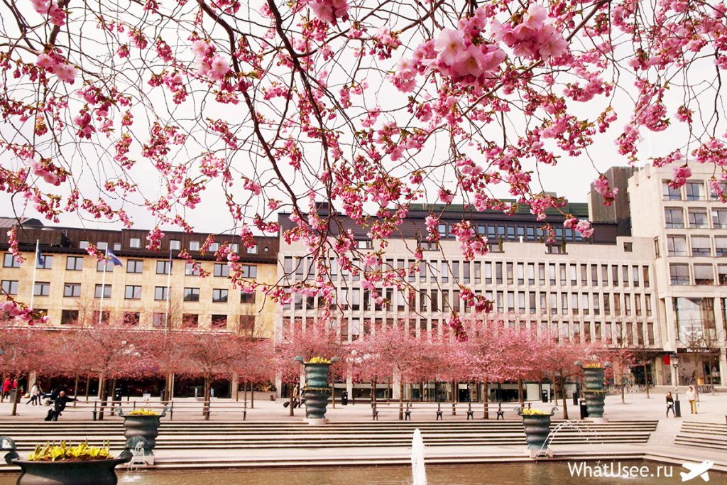 Kungsträdgården в Стокгольме