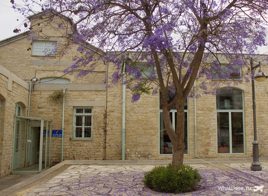 Central Municipal Market