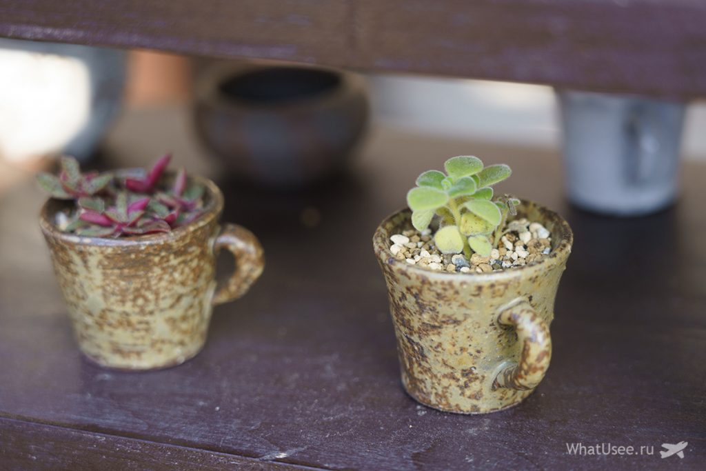 Чем можно заняться на озере Кавагучико в Японию