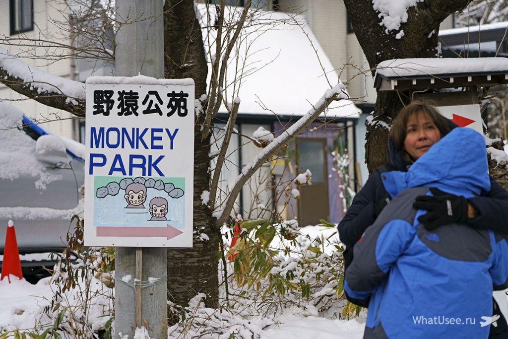 Jigokudani monkey park отзыв
