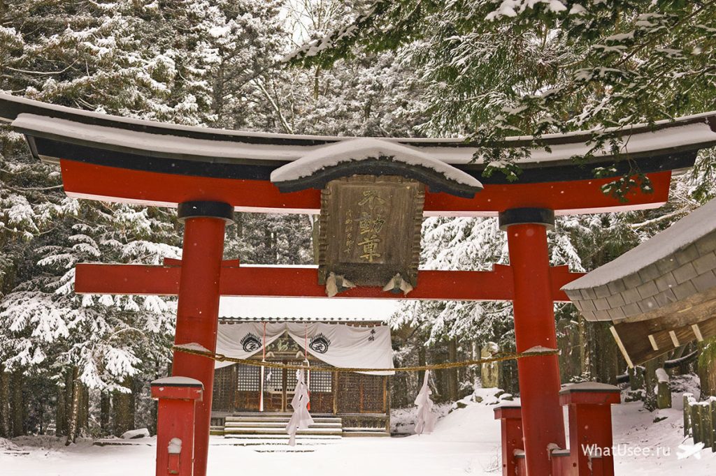 Парк макак Jigokudani monkey park