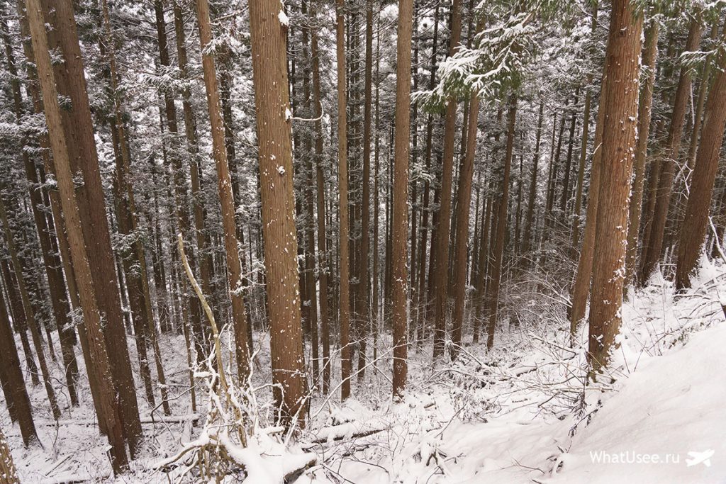 Jigokudani monkey park
